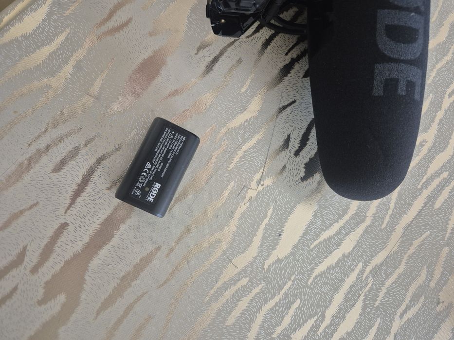 Rode video mic pro+