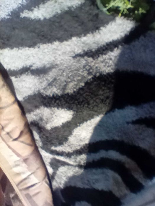 Срочно продам ковры, паласы