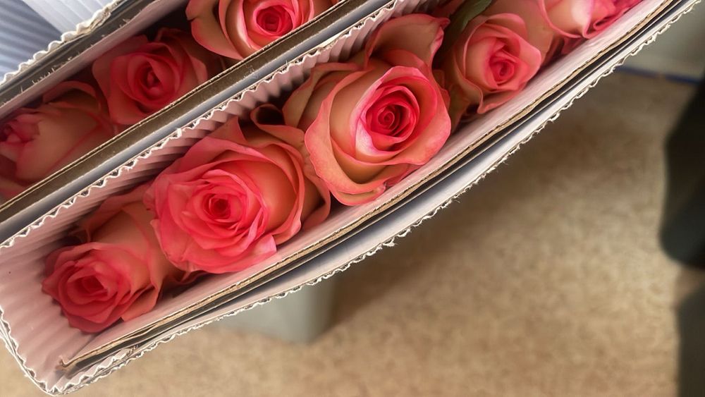 Букет цветов 25 шт роза