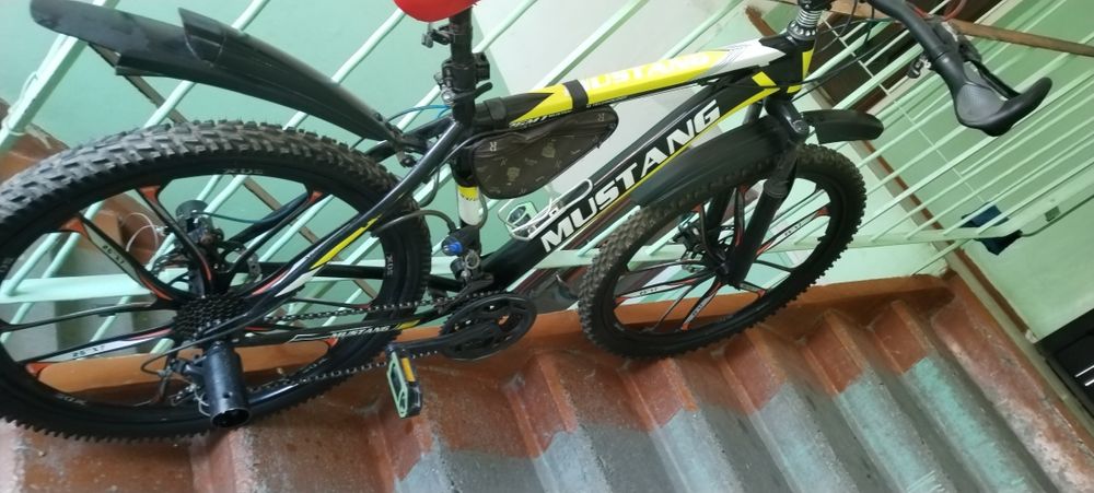 Yahshi holatda 4/7 skorastli 26 болонли