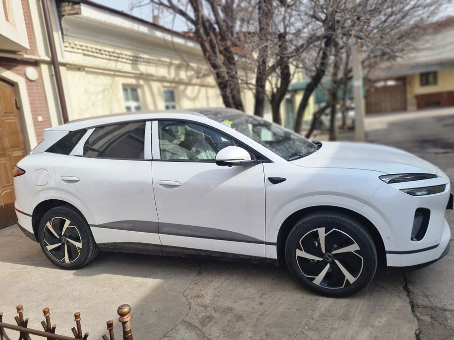 BYD Sealion 06 EV Full. Нотариусга тайор.