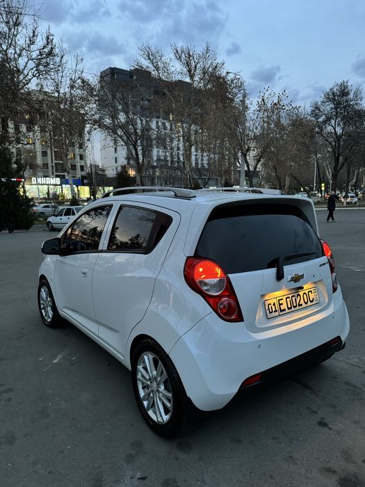 Spark. 4-poz. Lux tayyor