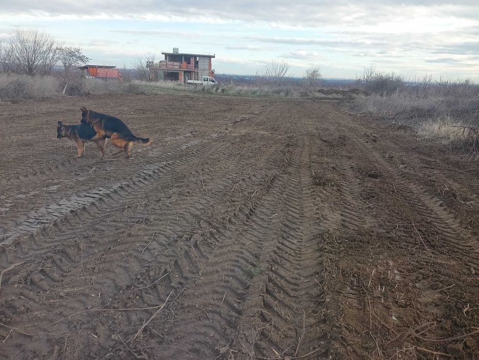 Продава се Парцел в Пловдив, Каменица 1 - 991 кв.м за 18 €/кв.м - Снимка #11