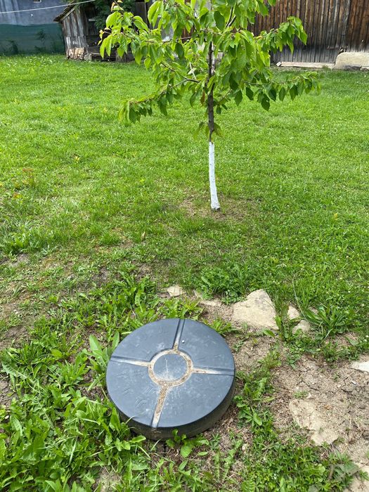 Teren de vânzare în Aiton