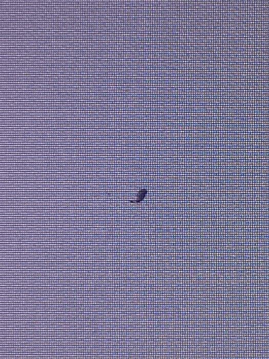 Монитор LG ips226