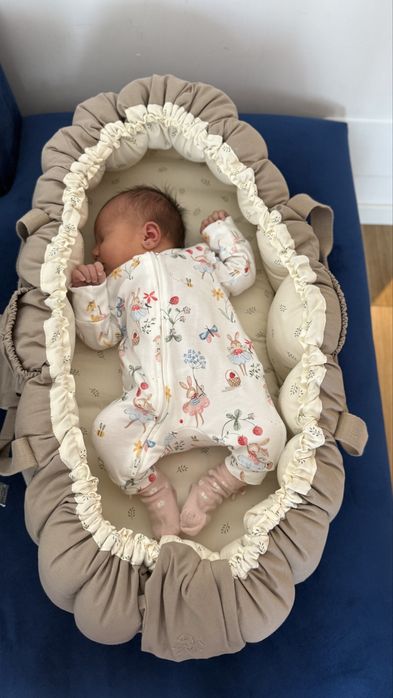 Babynest 3 in 1 Sebra Adinish