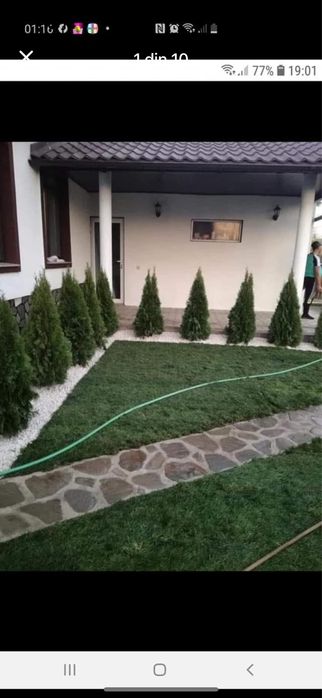 Gazon Rulou la Preț Avantajos
