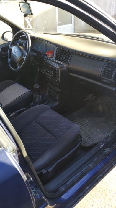 Мал болсада ауысамын