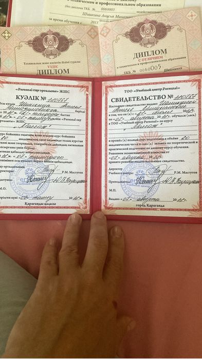 Психолог телесник