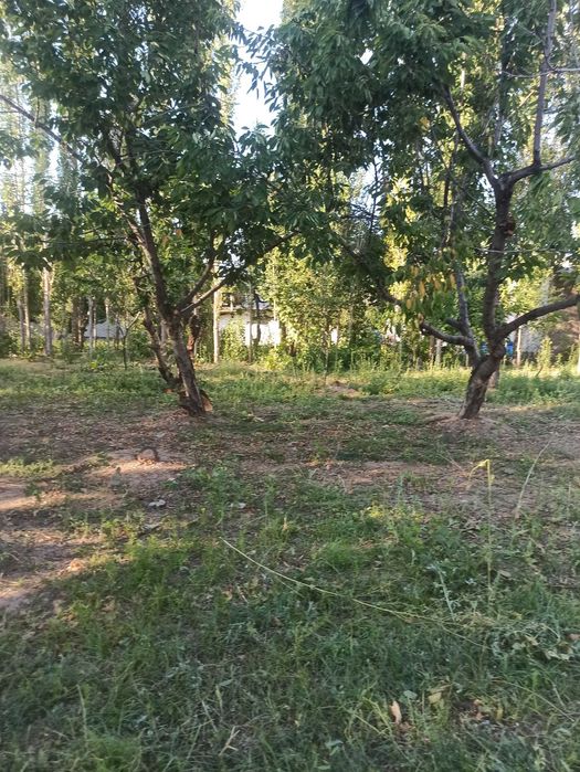 Бўстонлиқ туманида Уй сотилади