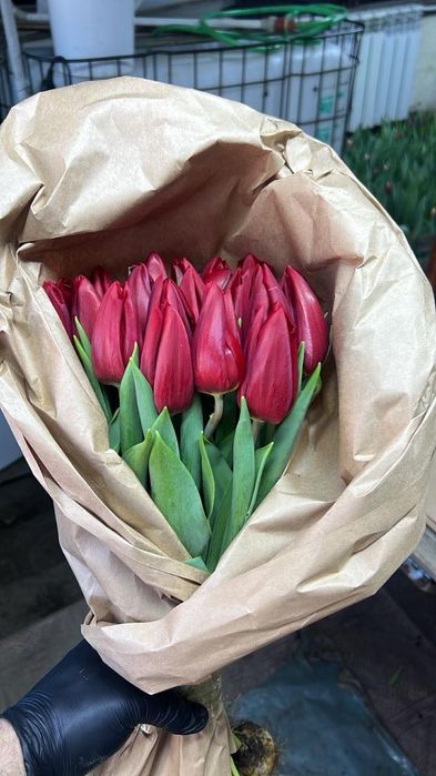 Тюльпаны оптом и в розницу