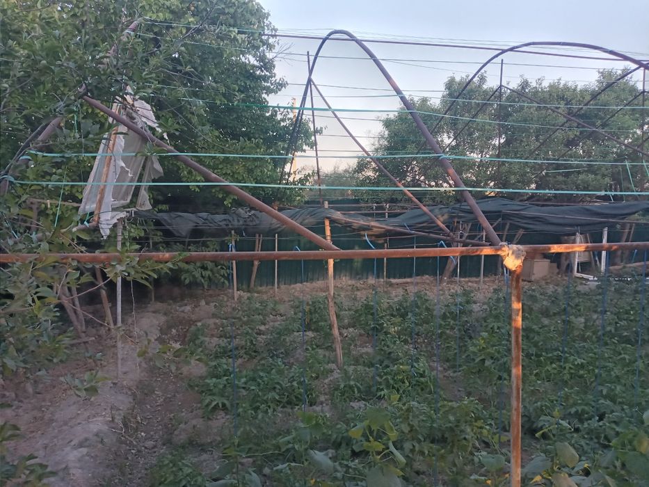 Parnik sotiladi Kogon Tumani