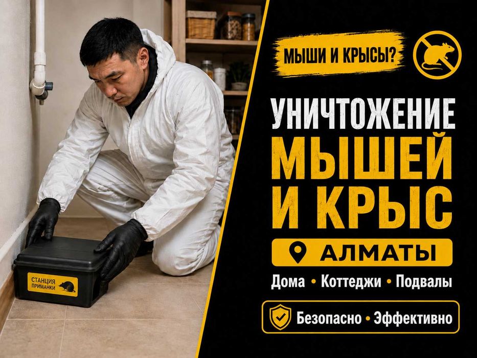 Уничтожение мышей и крыс в доме, квартире и в помещениях | Алматы