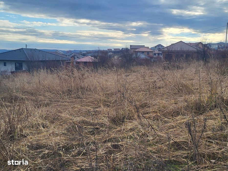 2380 mp teren in Paleu, strada Teiului