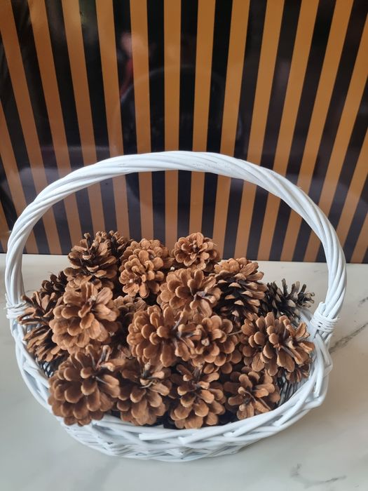 Шишки в наличии. Одна штука 200тг. Большие..