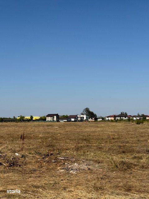 INDUSTRIAL CHITILA 31497 mp str Padurii