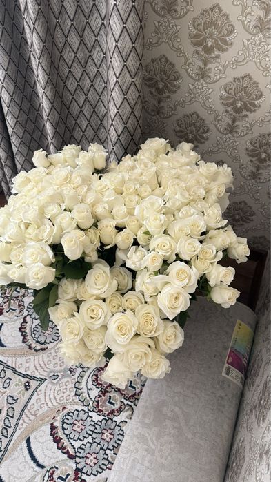 Роза белая 150+ штук