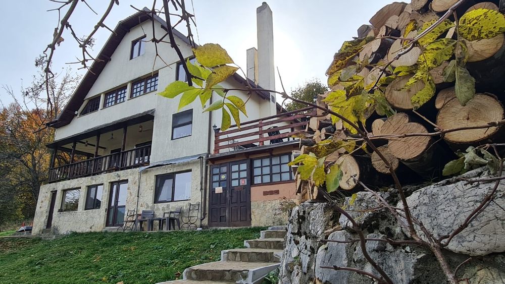 Cabana Taiga Fundata