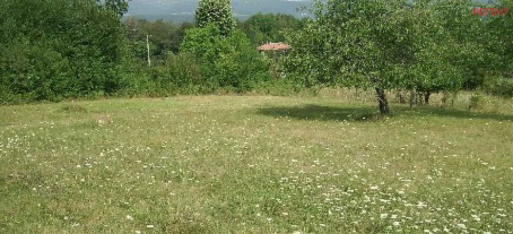Парцел-Петкова нива-3200м²