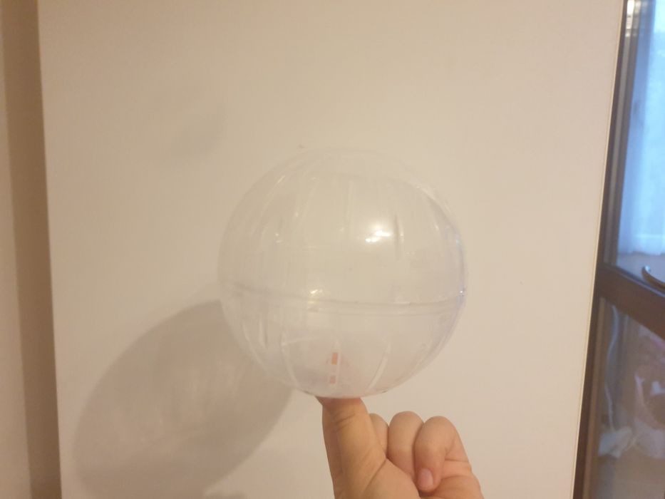 hamster alb cu ochi negri are 9luni si este fetița  este rasa hamster pitic si este dragalas este cuminte si este energic noaptea si ziua este energic