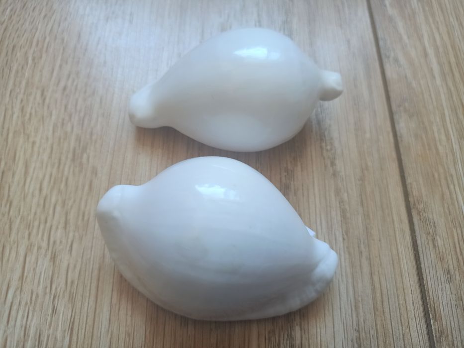 Ракушки от 1500 до 9000