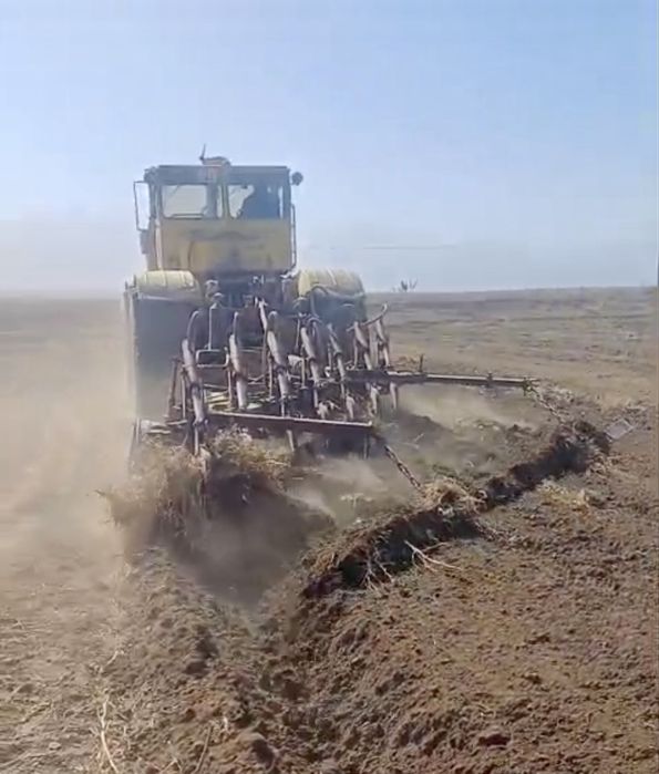 Кировец K-701 азотный соха