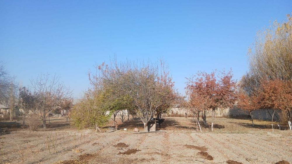 Tuman markazidan qulay joylashuvga ega yer uchastkasi sotiladi.