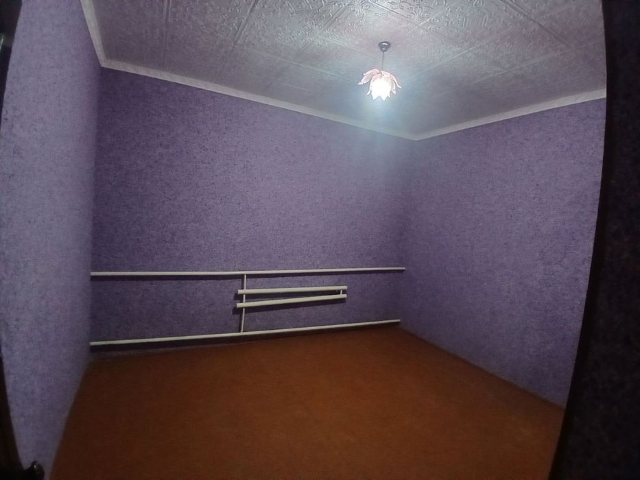 Kotej xovli!! Zamonaviy uslubda