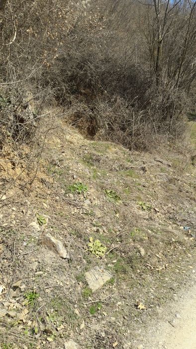 Парцел в регулация в с.Батулия, Софийска област.