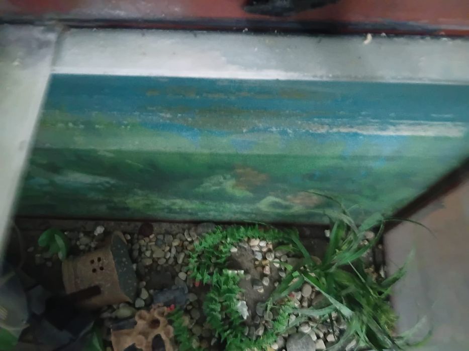 Сатлады барлық заттр