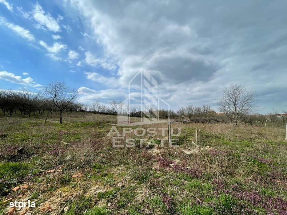 Teren intravilan pentru investitie, 2896 mp, Herneacova Timis