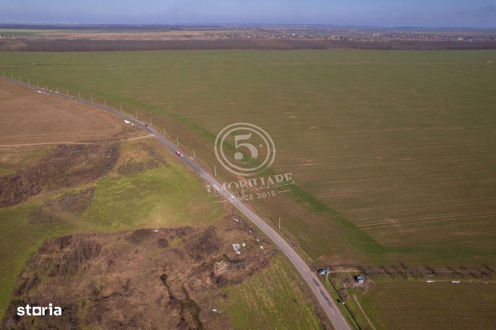 Oportunitate Investitionala: Teren 8 Ha – Nuci, Calarasi