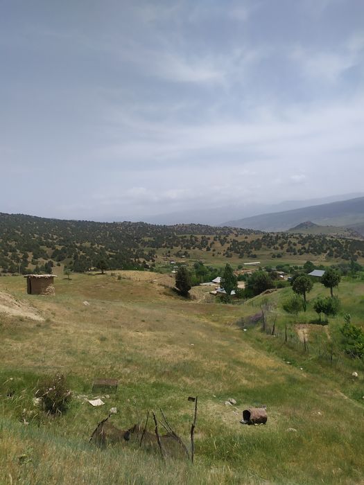 Omonat quy mollarga qaraymiz