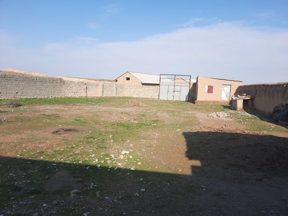 Jizzax shahri shodlik mahallasi