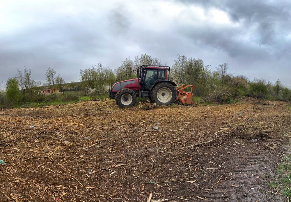 Defrisare ambrozie si vegetatie nedorita : maracini, lastari, arbusti