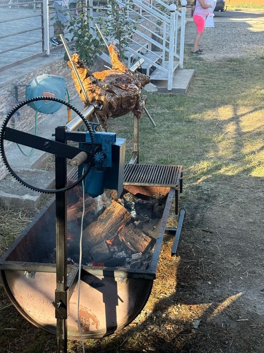 Rotisor/proțap electric