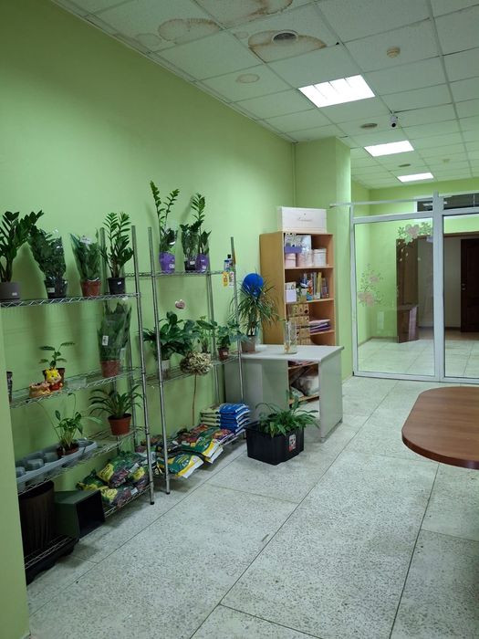 Продам цветочный бизнес