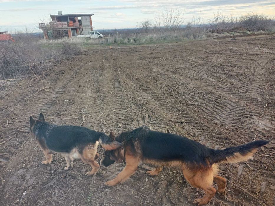 Продава се Парцел в Пловдив, Каменица 1 - 991 кв.м за 18 €/кв.м - Снимка #6