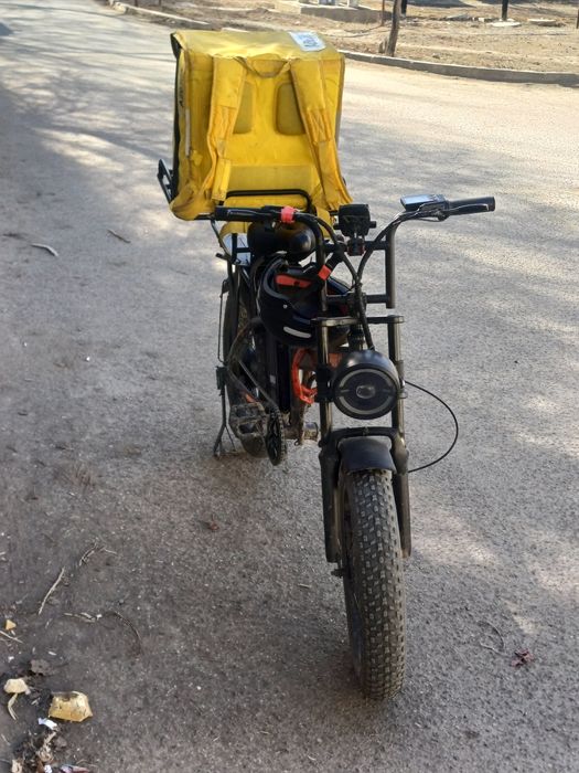 Электровелик леопард