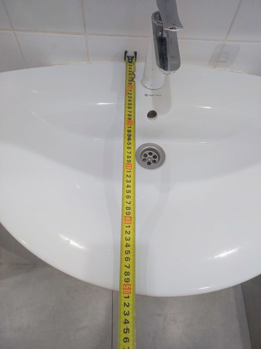 Красивая раковина