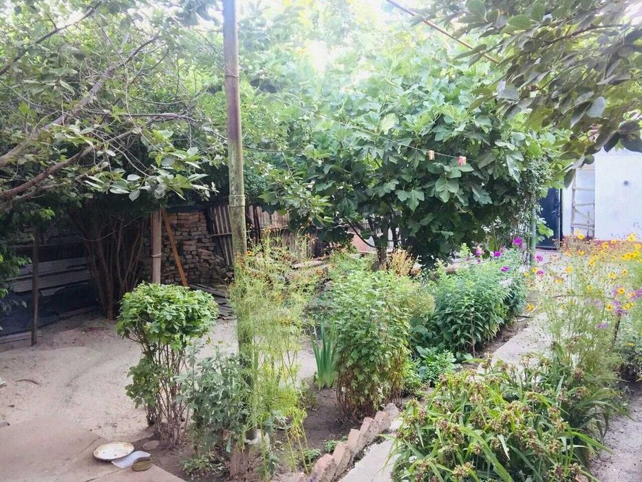 Дом в районе сельхоз института