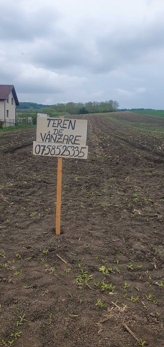 Teren intravilan de vanzare