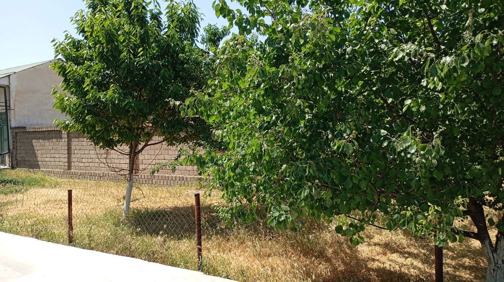 4 sotix yer sotiladi