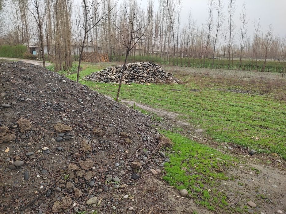 Jomboy yer uchastkasi sotiladi 12 sotix kirif  6- brigat