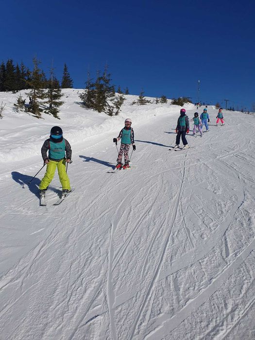 Scoala schi, Scoala ski