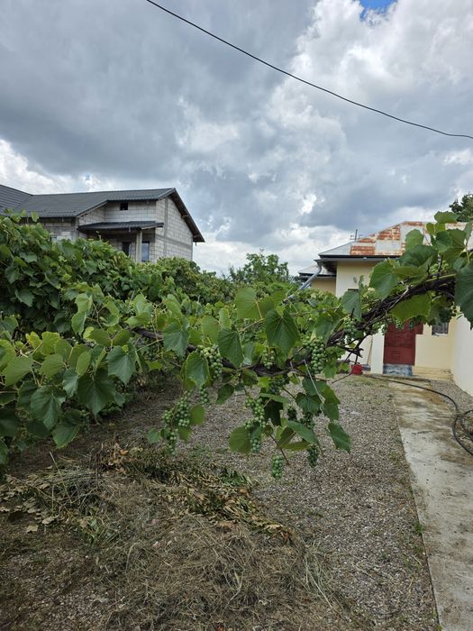 Casă de vânzare demolabilă, cu teren intravilan.