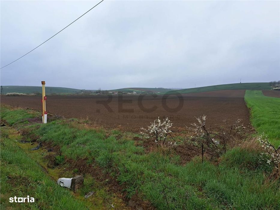 RECO teren Ghenetea 7800mp