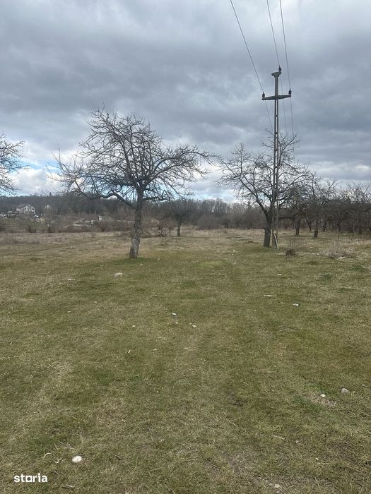 Campina - teren intravilan 4400mp - 17 Euro/mp