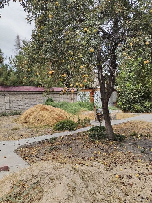 Дача 6 соток Янгиюль, рядом с Саид Ота