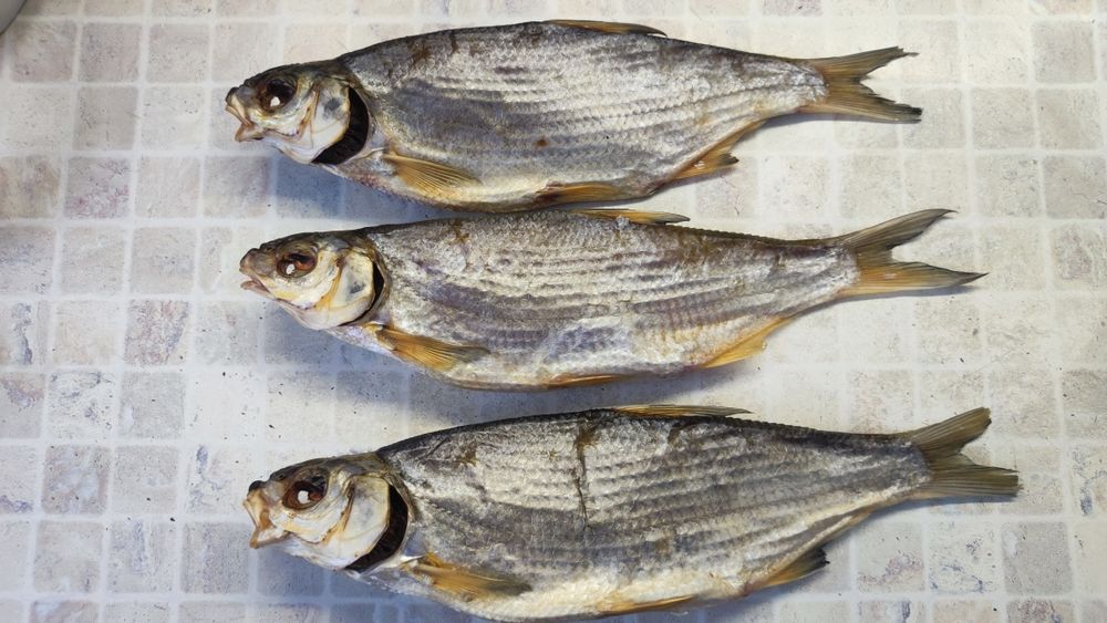 Рыбец вяленый жирный